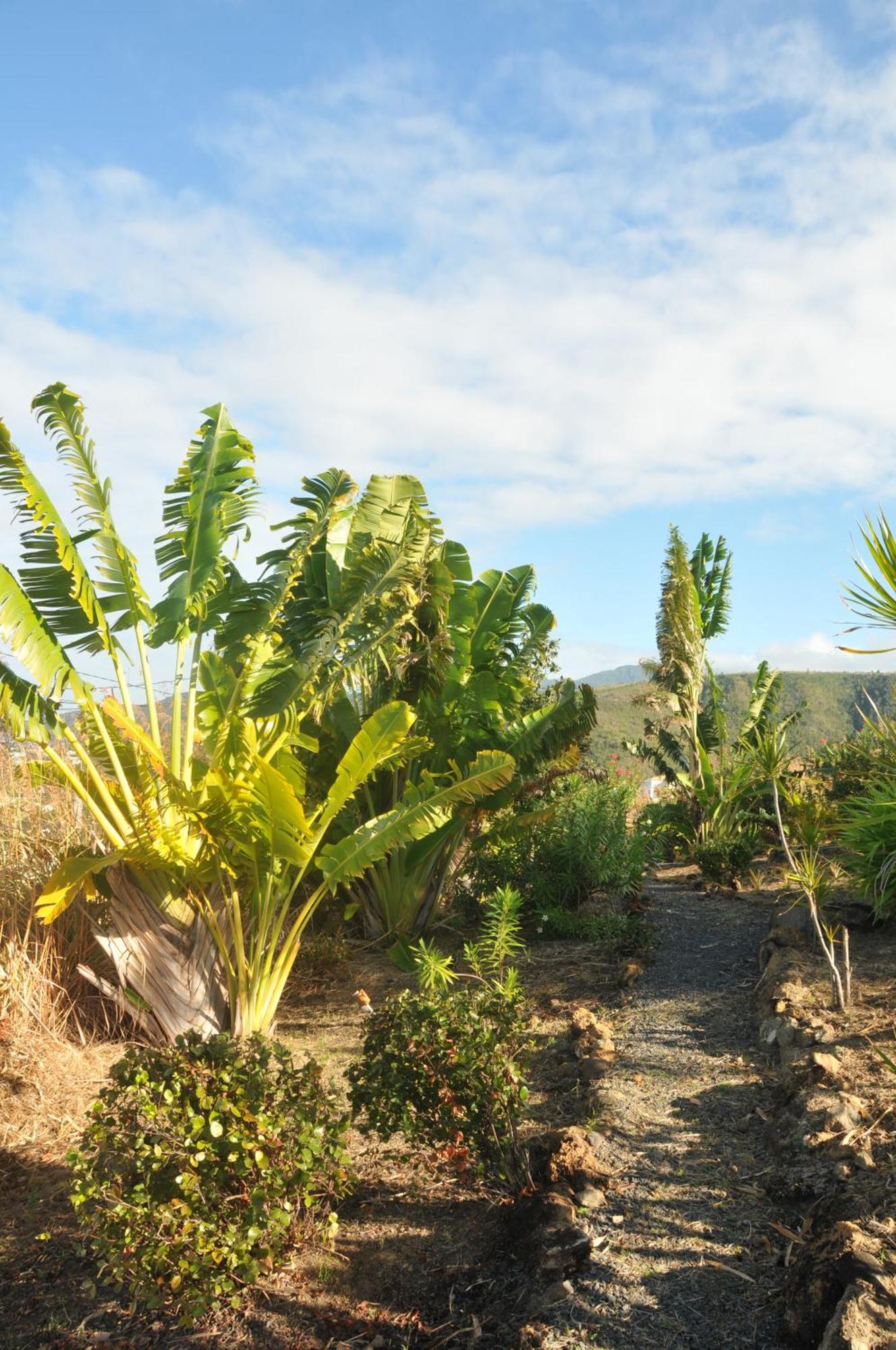 Mango Island Lodges Saint Joseph Eksteriør billede